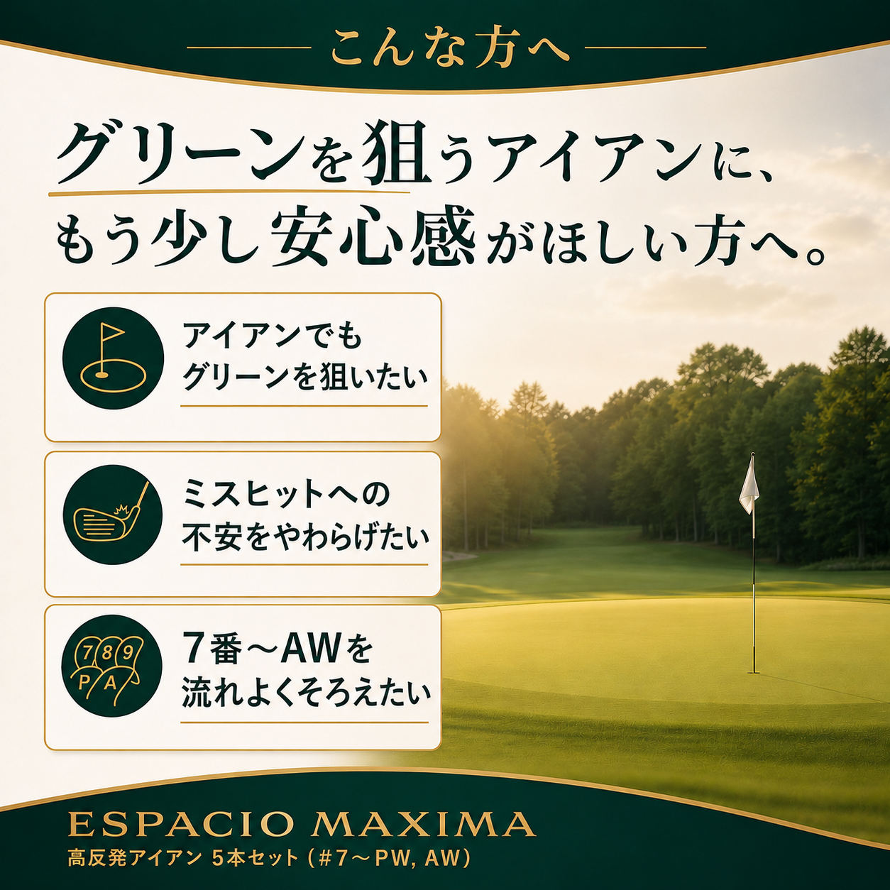 極・高反発アイアン ESPACIO MAXIMA】 純正オリジナルカーボンシャフト 極・高反発アイアン ESPACIO MAXIMA】 純正オリジナルカーボンシャフト